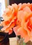 images/Roses.png