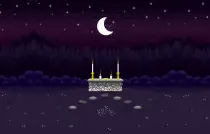 media/eshrine.gif
