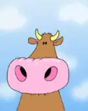 images/nose.gif
