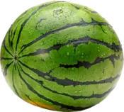sandia.png