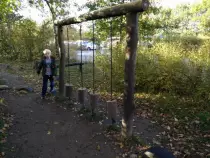images/Tarzan.jpg