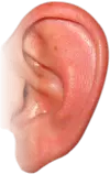 items/ØRE.png