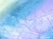images/linkin_park/fondo1.jpg