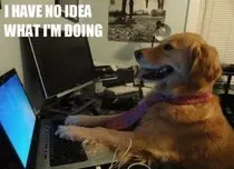 no idea what I'm doing.jpg