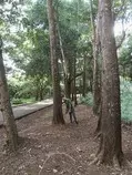 13652958_1003907719725143_6520088291106304219_o.jpg