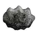 pagina/fotos/asteroide.gif