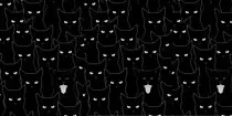 edimg/gatos1.jpg