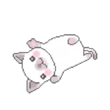 cat.gif