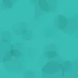 images/calroo-pattern.jpg
