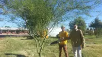 images/tree-selfie-tigermountain2.jpg