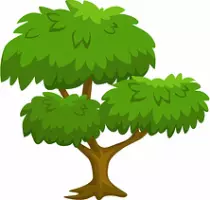 images/tree1.jpg