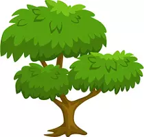 images/tree1a.jpg