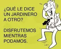chistes-rapidos-que-le-dice.jpg