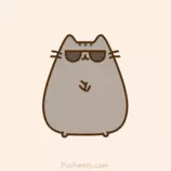 pusheen.gif