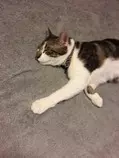 sleepingtheo.jpg