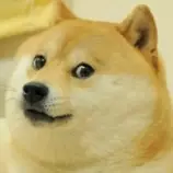 Pictures/Icon/Icon.ico.png