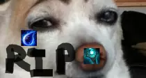 Sources/Dog/dog.png