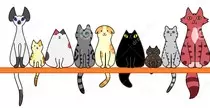 img/gatos1.jpg