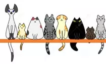 img/gatos2.jpg