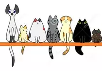 img/gatos3.jpg