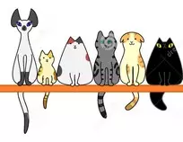 img/gatos4.jpg