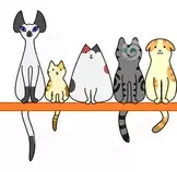 img/gatos5.jpg