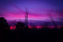 images/543382-bigthumbnail.jpg