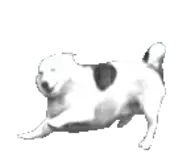 A.gif