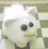 he.jpg