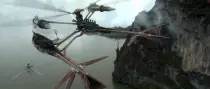 images/wookie_jet_catamaran.png