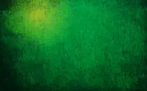 img/fondo.jpg