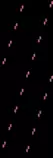 bg/bg_22.gif