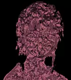 lainliquidB5_006.gif