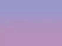 lily_bg.gif