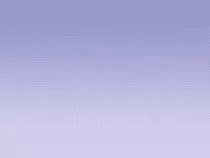 lily_bg_2.gif