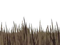 lily_grass_move.gif