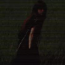 trashlinesHA.gif