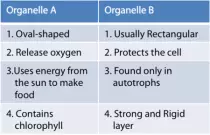 Science/7th/u3/image001.png