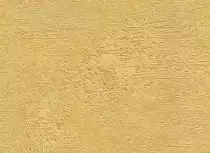 images/2.jpeg