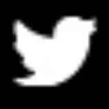 _img/twitter.jpg