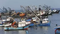 pesca-industrial2.jpg