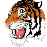 Imagenes/Tiger.png