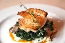 images/food1.jpg
