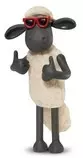 shaum1.jpg
