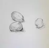 images/lemonsfullsize.jpg