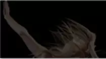 images/video-swanLake-small.png