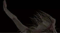 images/video-swanLake.jpg