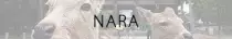 img/nara.jpg