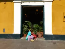 native_web.jpg