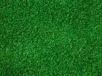 fake grass.jpg